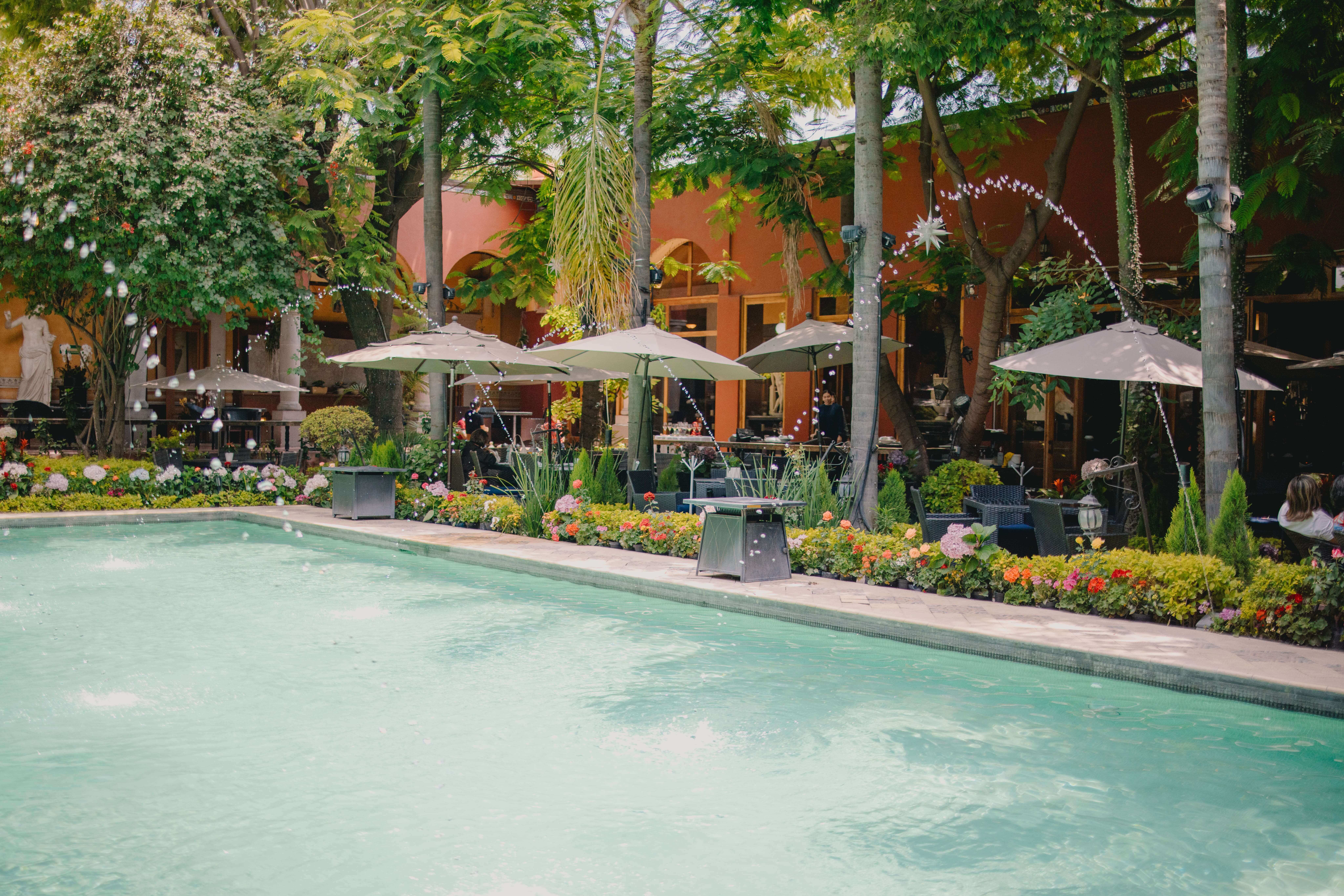 The Only Restaurant with a Terrace That Combines History, Art, and Luxury Gastronomy